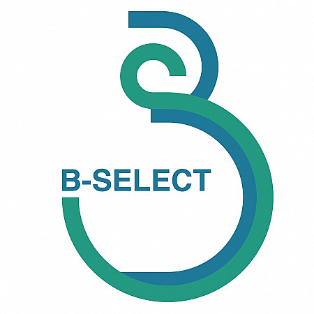 B-select - Eléctricité & Borne Electrique