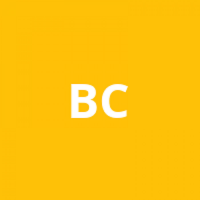 B.T.S. CONCEPT