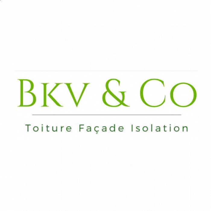 Bkv & Co