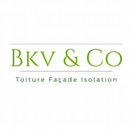 Bkv & Co
