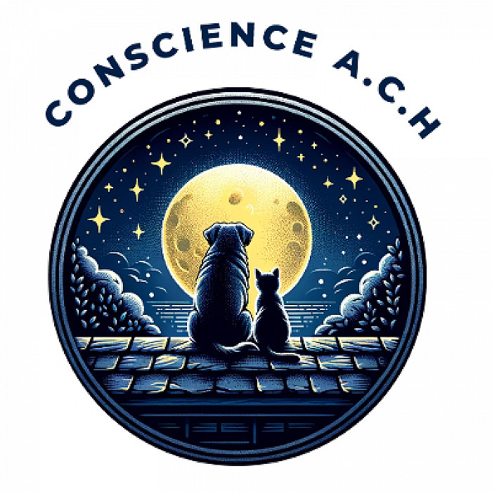 Conscience A.C.H. - Toiture SRL