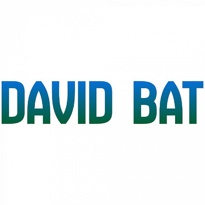 David Bat