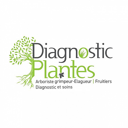 Diagnostic Plantes