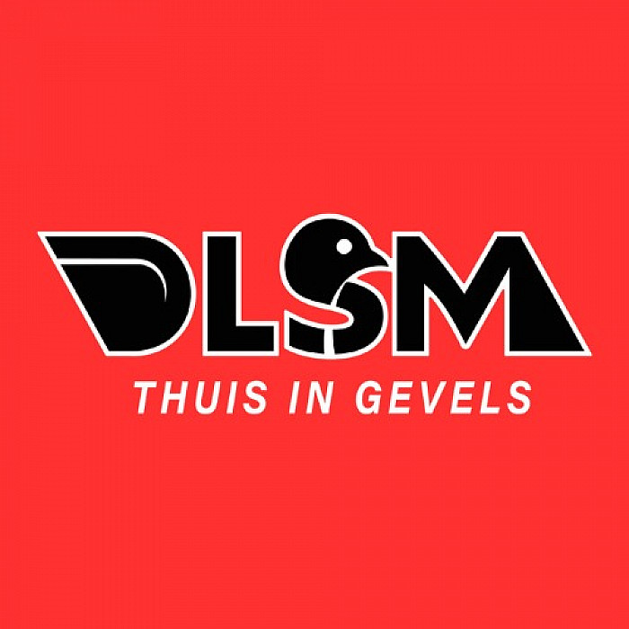 DLSM