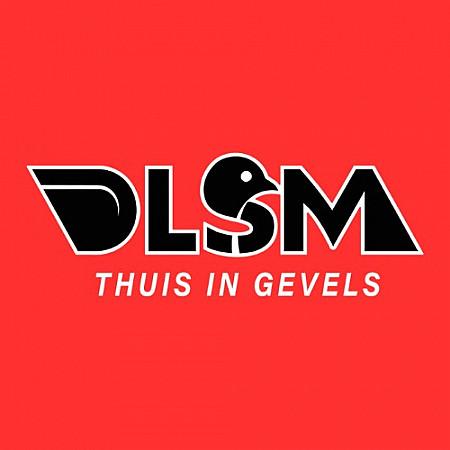 DLSM