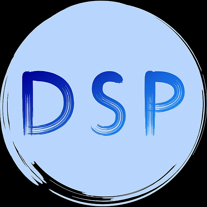 DS Peinture