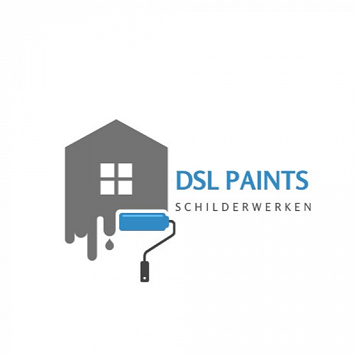 DSL Paints