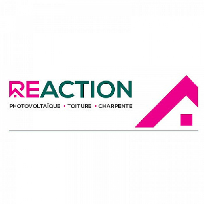 Reaction SRL