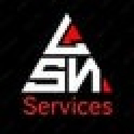 LSN SERVICES