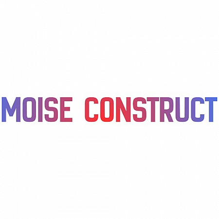 Moise construct