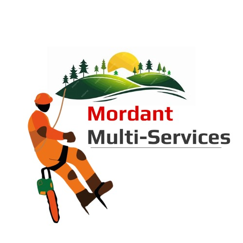 Mordant Multi-Services