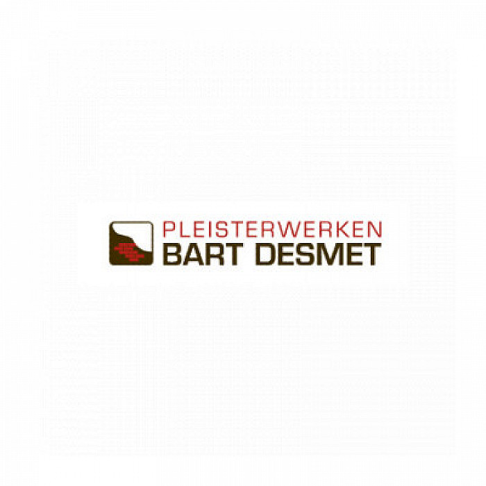 Pleisterwerken Bart Desmet