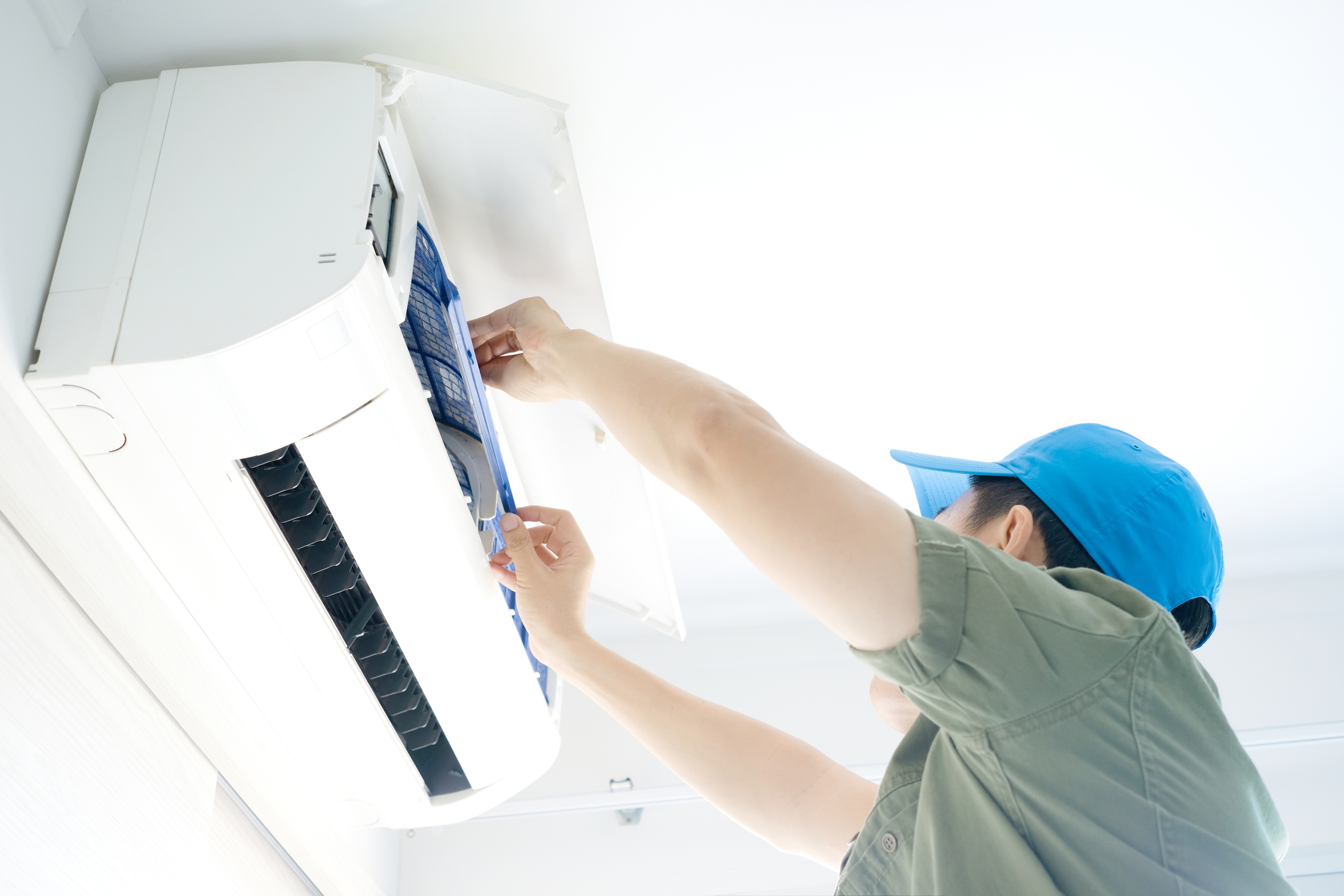 shutterstock_1203788617