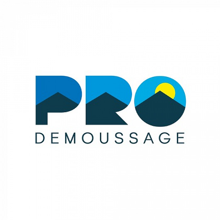 PRO DEMOUSSAGE