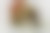 medialibrary0M4456